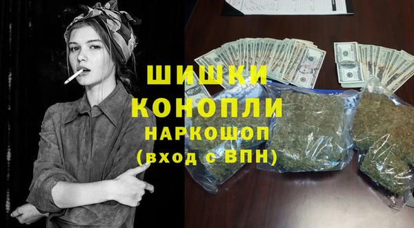 PSILOCYBIN Балахна