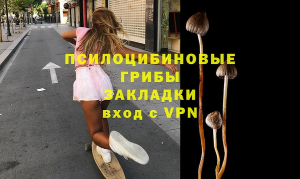кокс Арсеньев