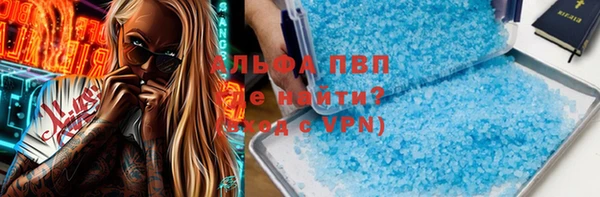 стаф Семилуки