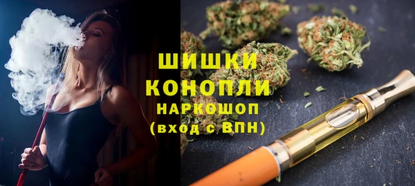 PSILOCYBIN Балахна